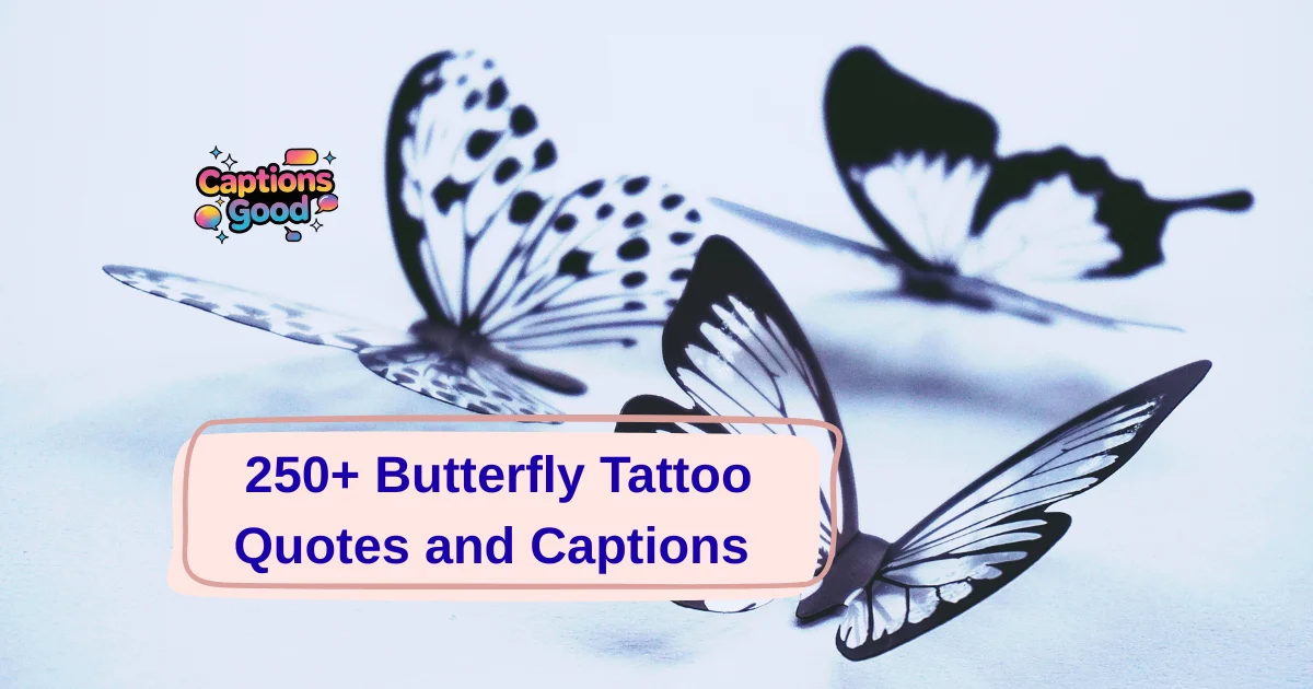 Butterfly Tattoo Quotes