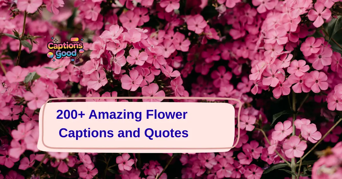 amazing-flower-captions-and-quotes