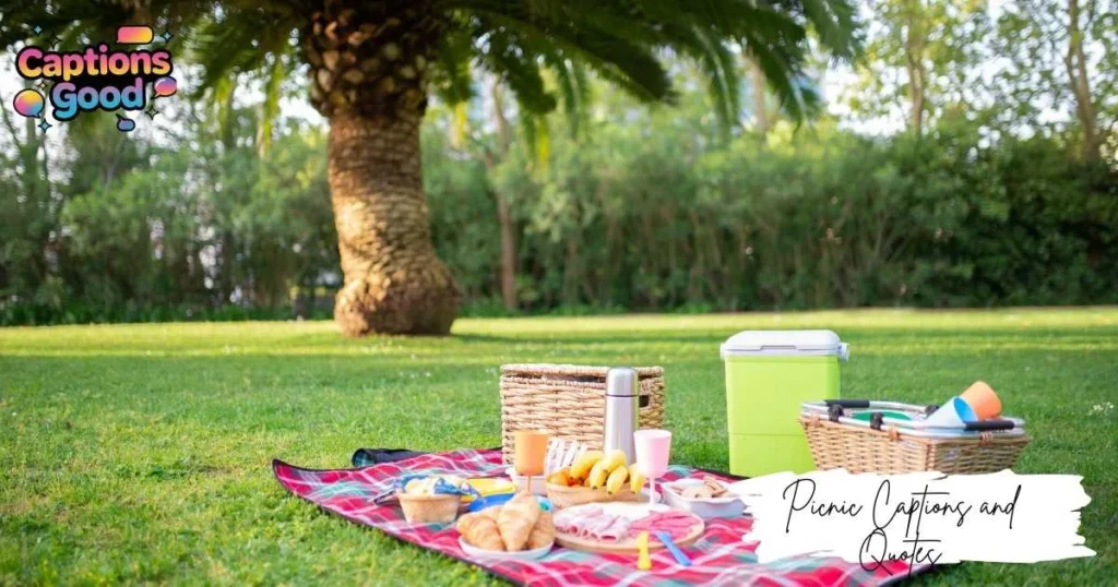 picnic-captions-and-quotes