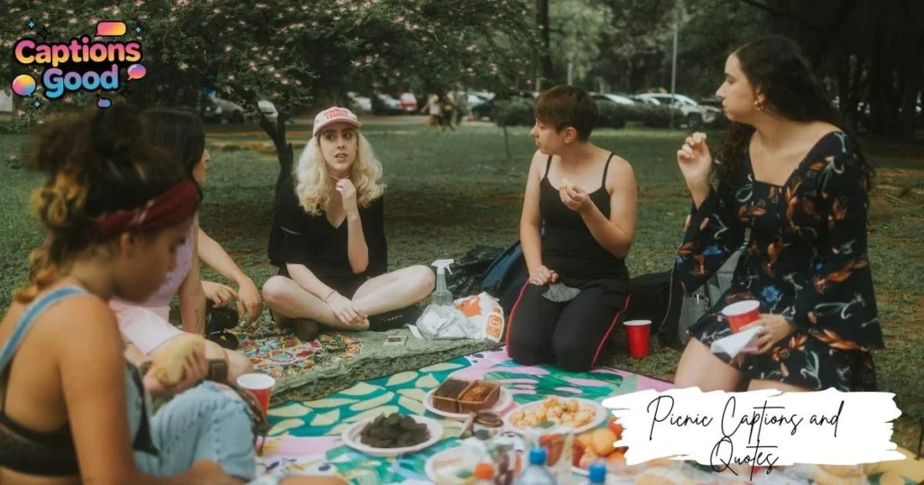 picnic-captions-and-quotes