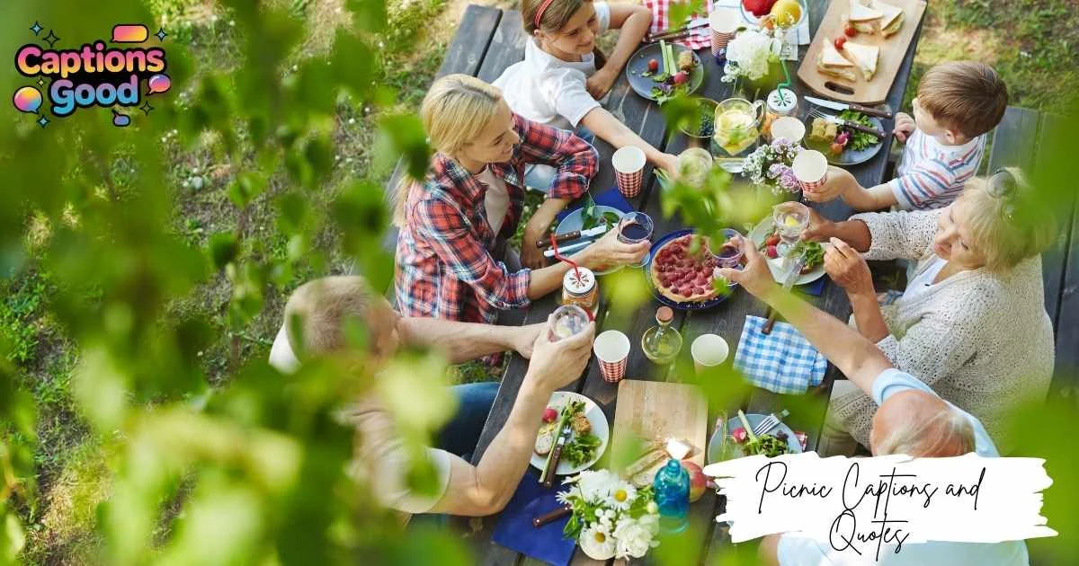 picnic-captions-and-quotes