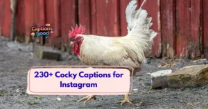 Cocky_Captions_for_Instagram_