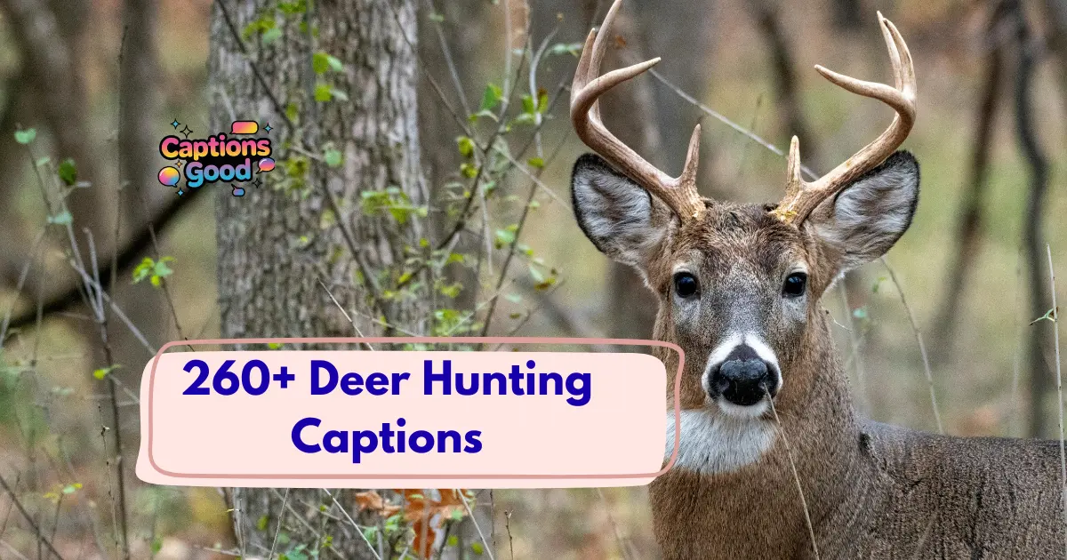 Deer-Hunting-Captions