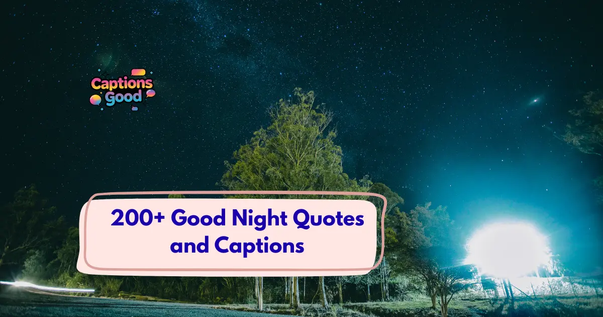 Good Night Quotes and Captions