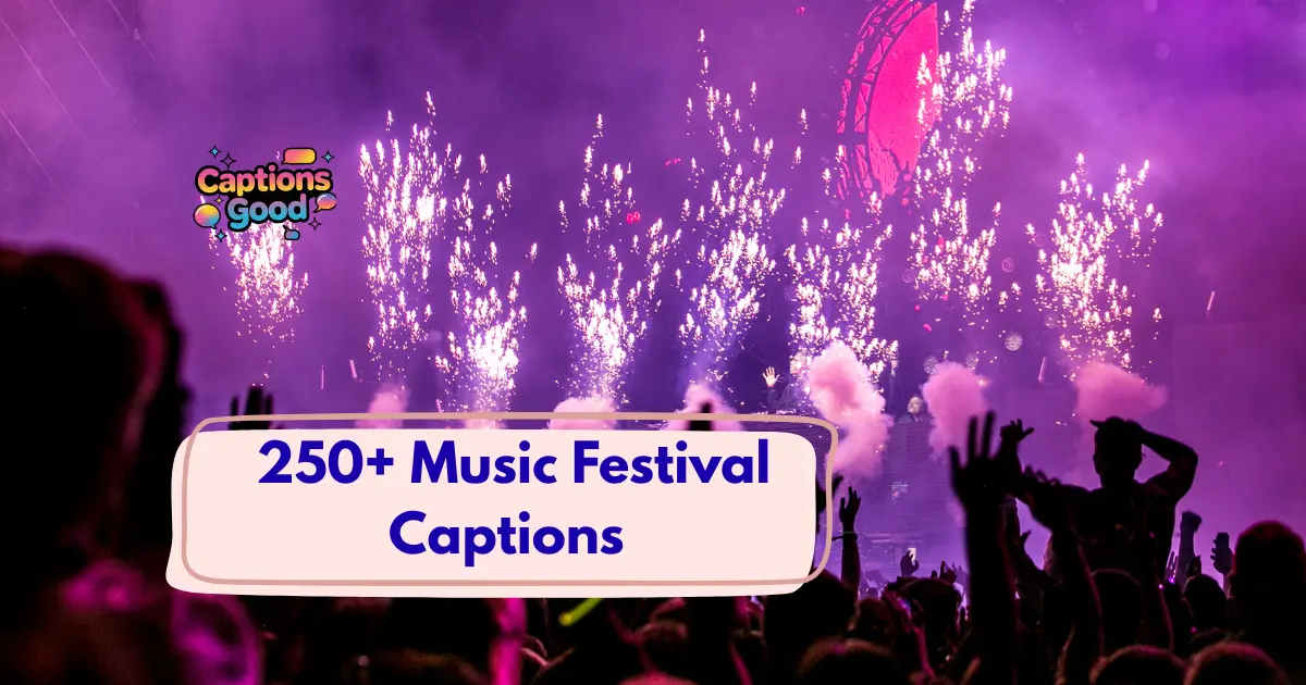 Music Festival Captions