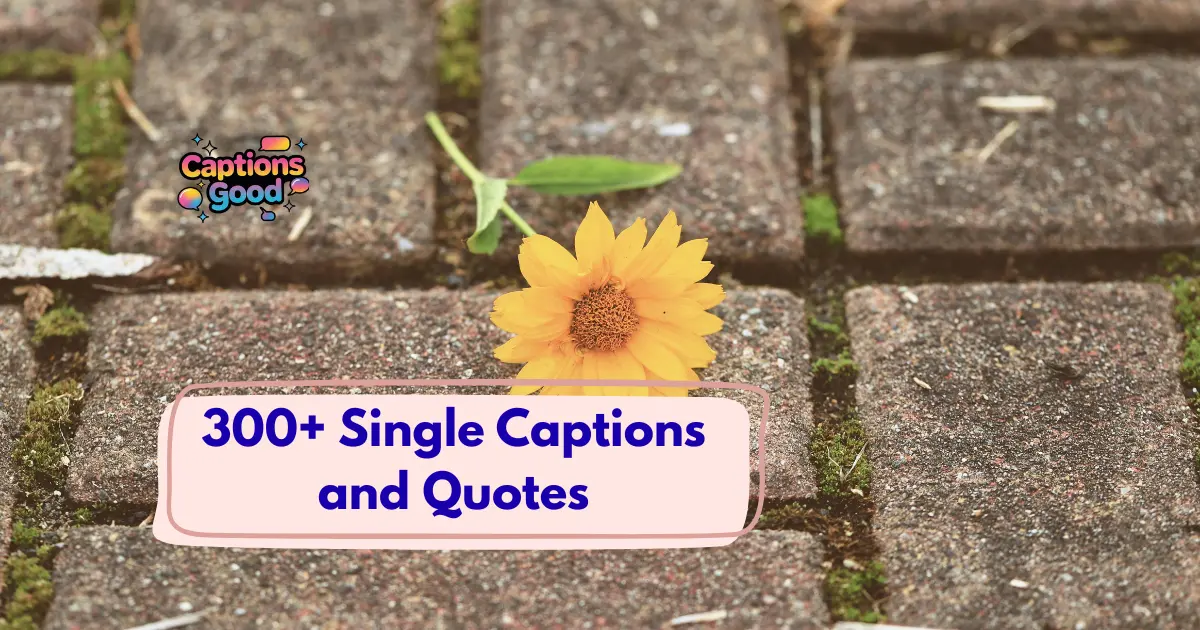 Single Captions