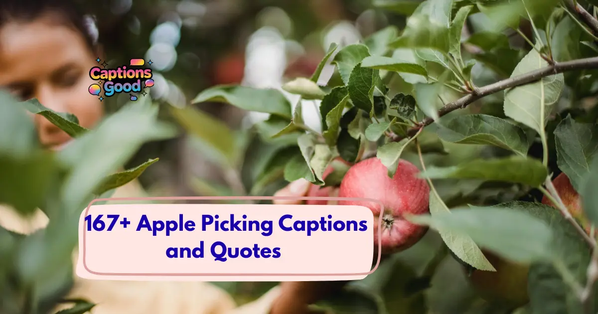 Apple Picking Captions