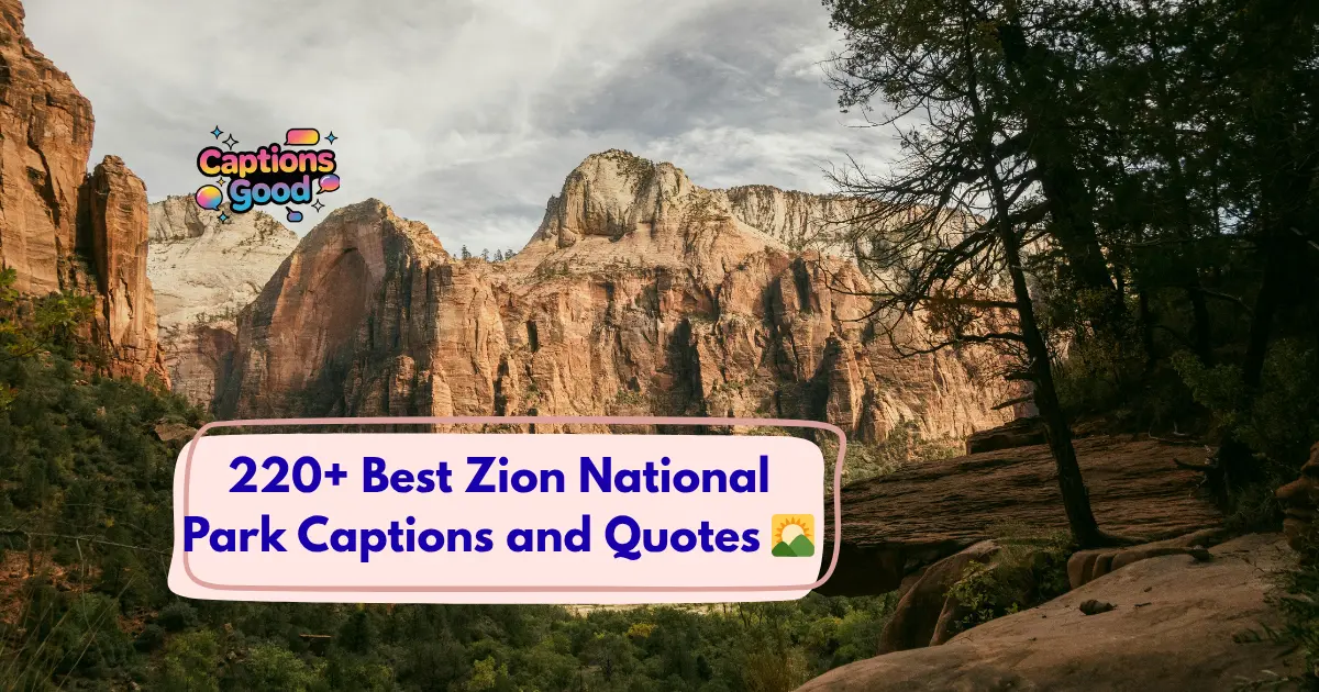 Best Zion National Park Captions and Quotes