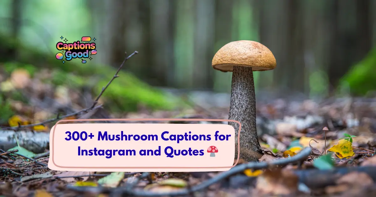 Mushroom Captions for Instagram and Quotes