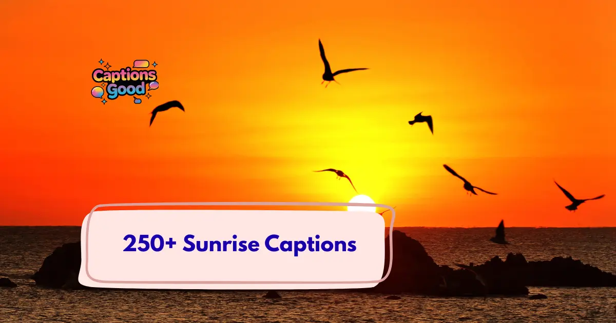 Sunrise Captions