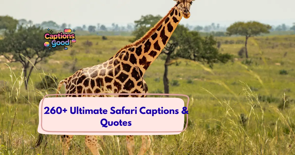 Ultimate Safari Captions & Quotes