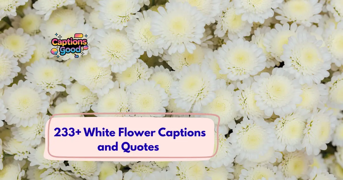 White Flower Captions and Quotes