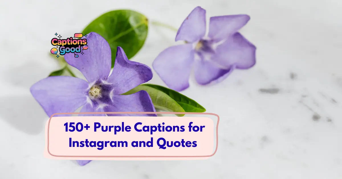 Purple Captions for Instagram and Quotes