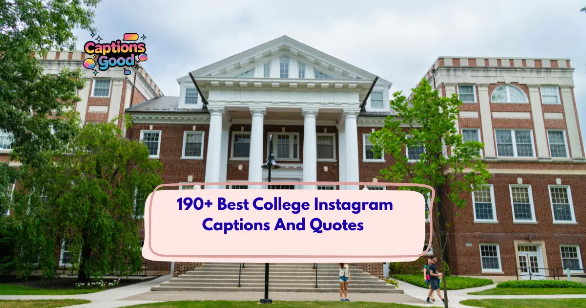 Best College Instagram Captions And Quotes