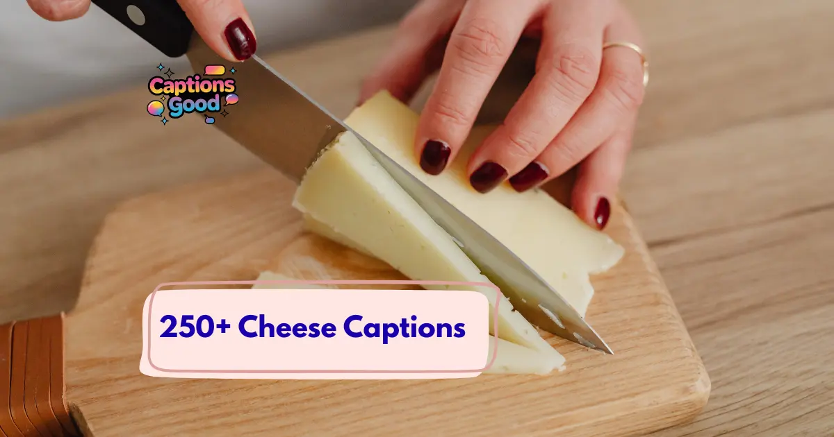 Cheese Captions