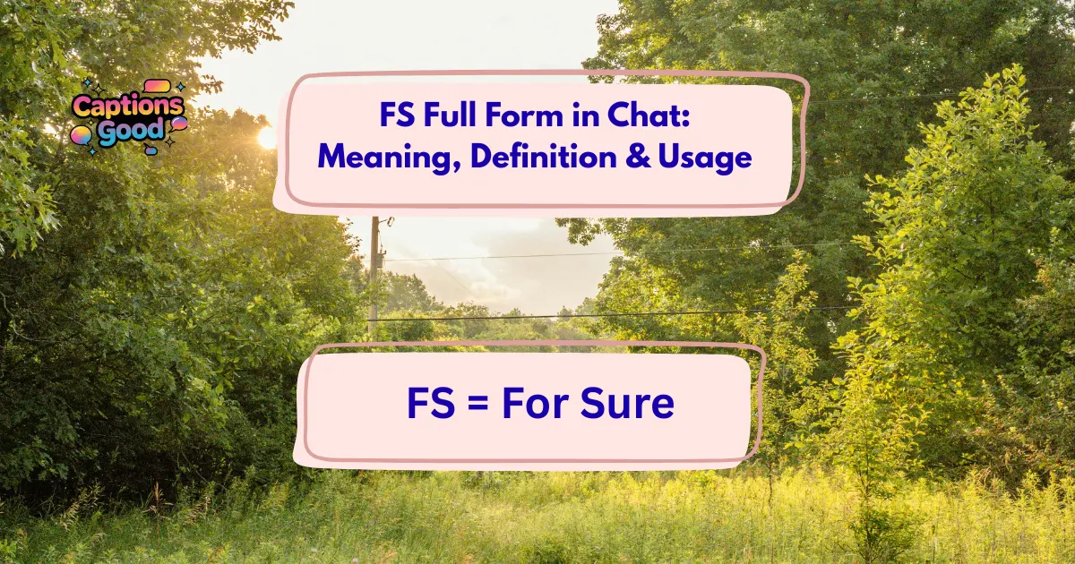 FS Full Form in Chat