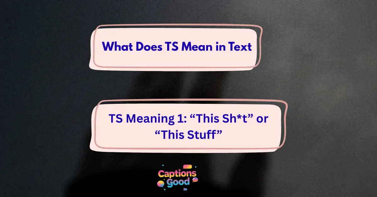 What Does TS Mean in Text