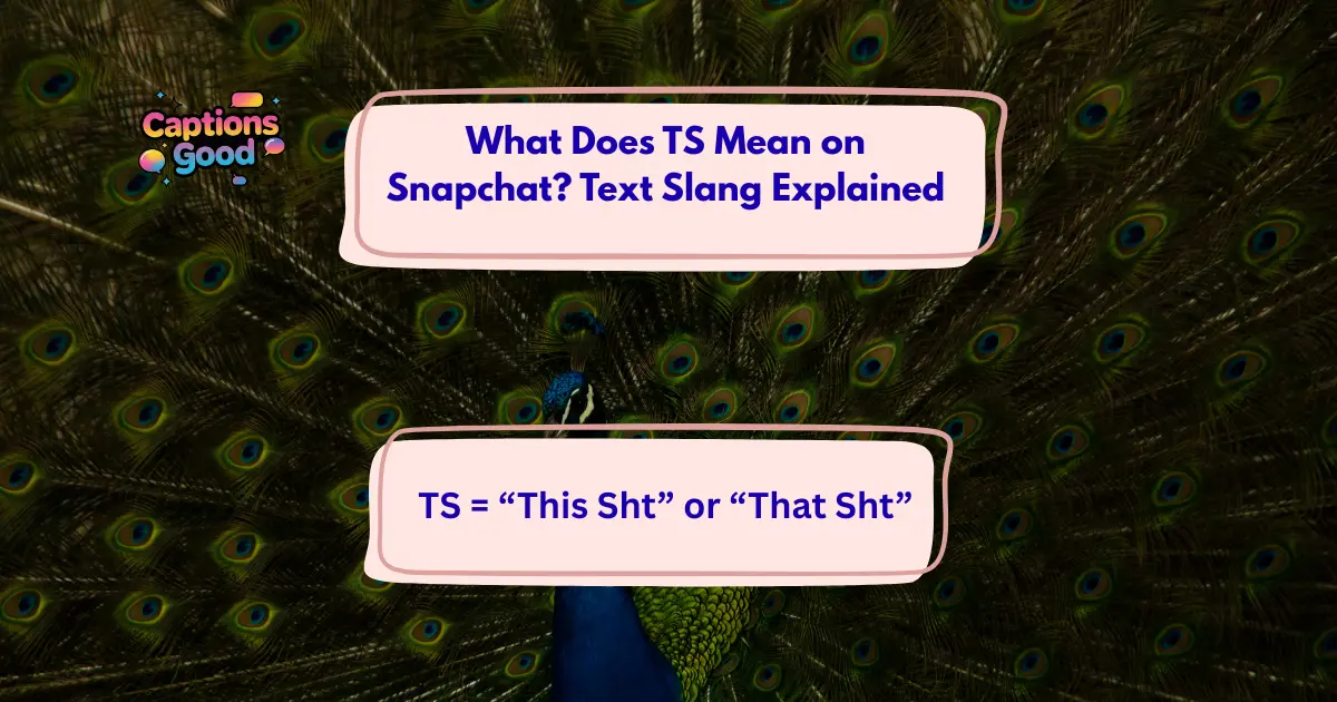 What Does TS Mean on Snapchat
