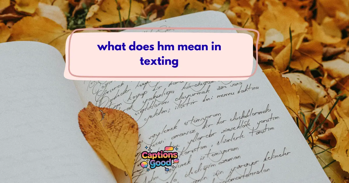 what does hm mean in texting